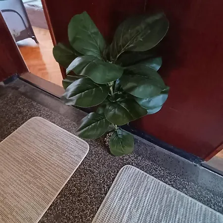 Appartement за гости меркурий