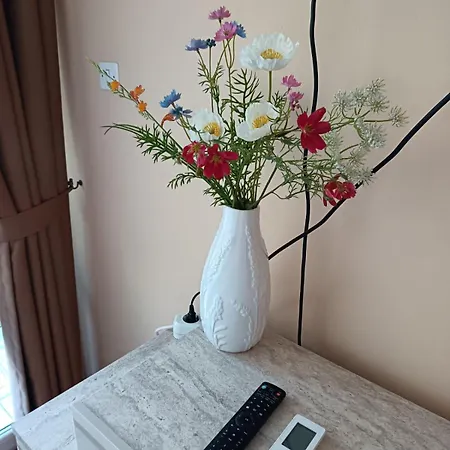 за гости меркурий Appartement *